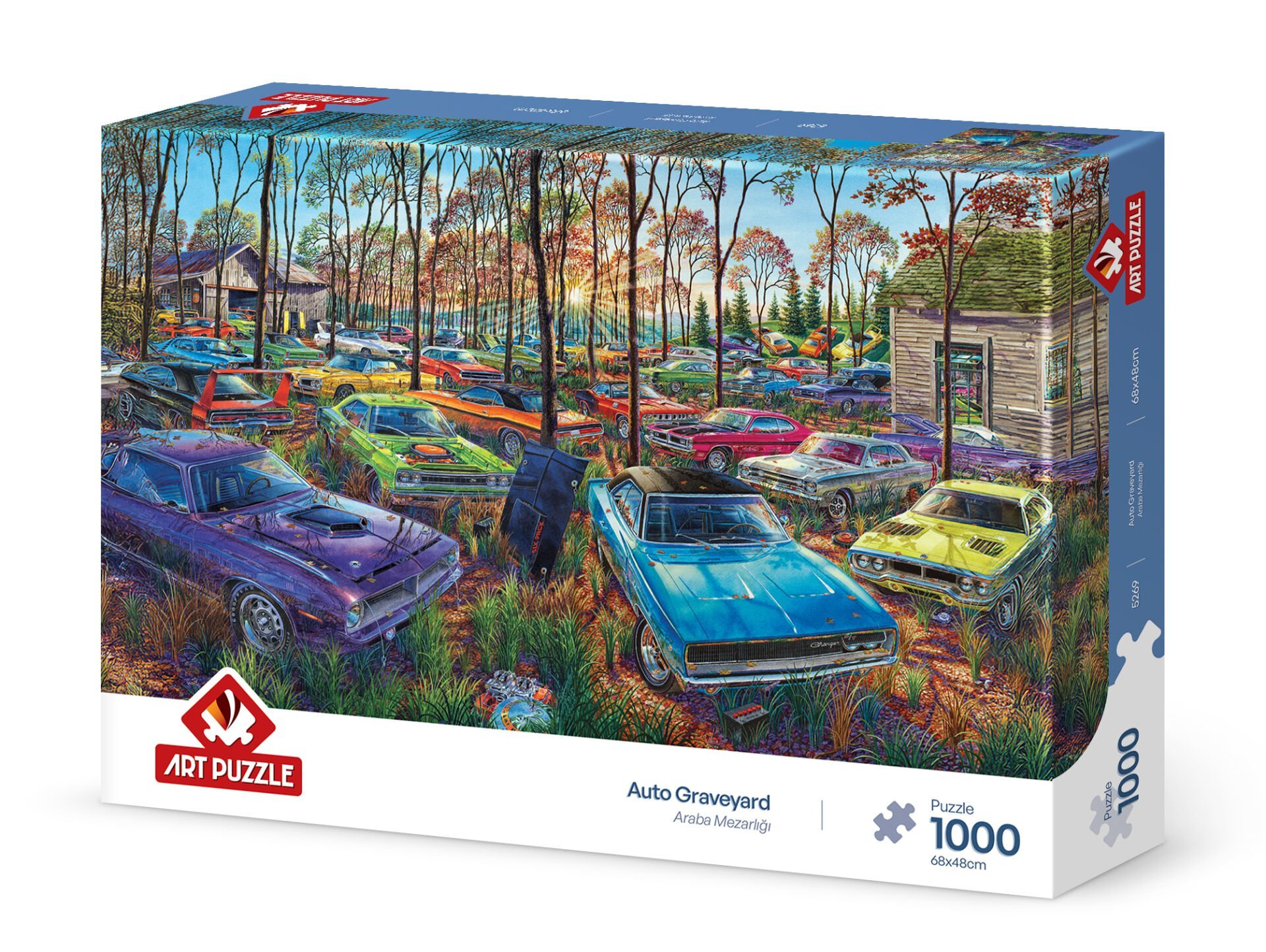 Art Puzzle Araba Mezarlığı 1000 Parça Puzzle