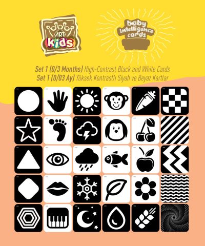 Art Kids Baby Zeka Kartları