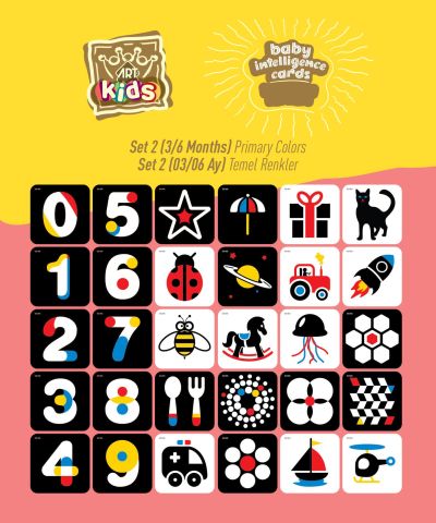Art Kids Baby Zeka Kartları