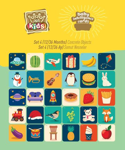 Art Kids Baby Zeka Kartları