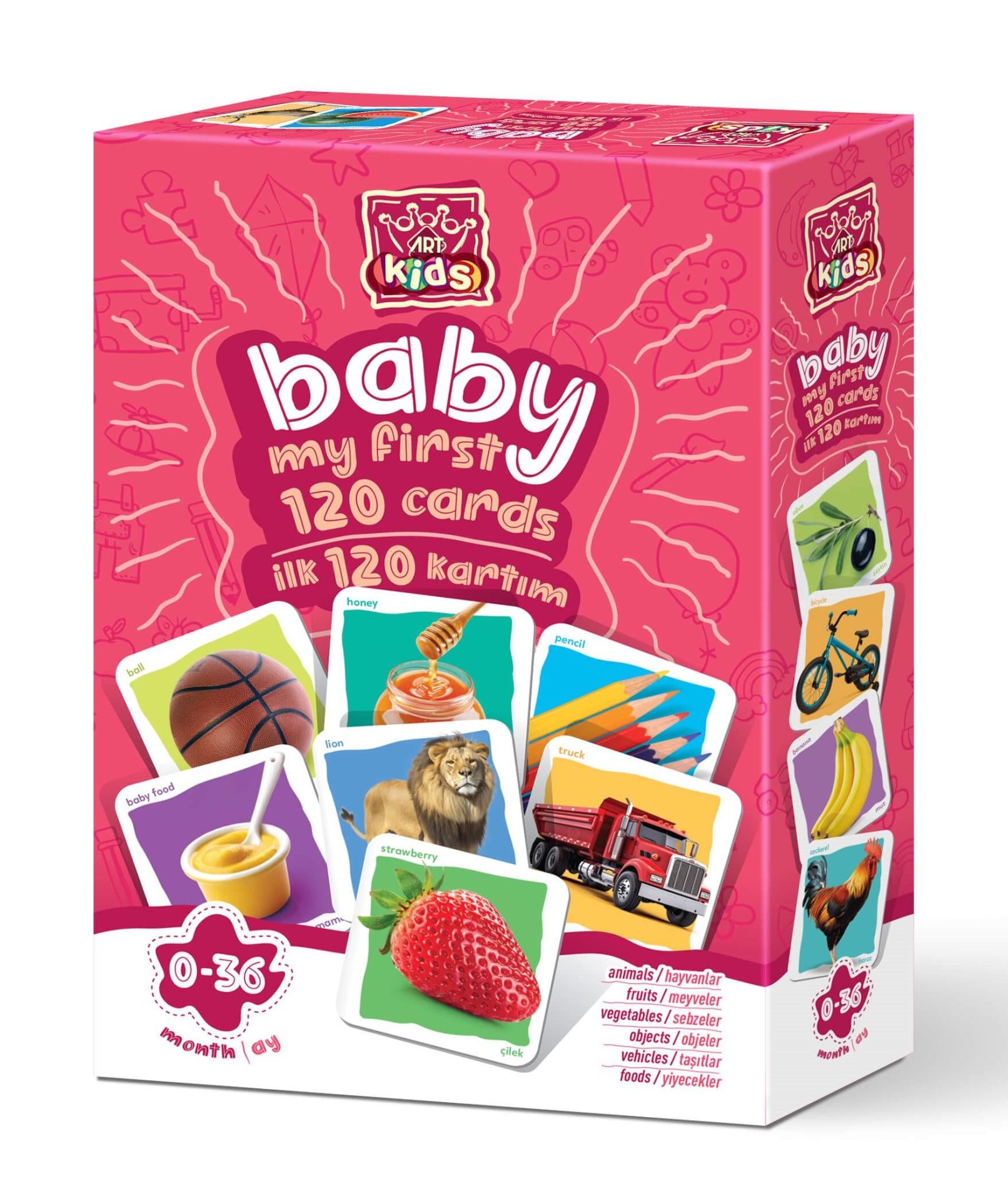 Art Kids Baby İlk Eğitici Kartlarım