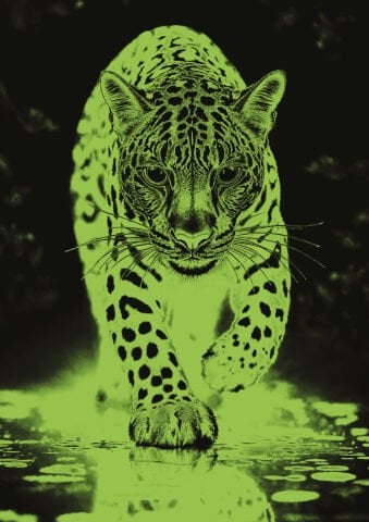 Art Puzzle Mavi Jaguar 1000 Parça Neon Puzzle
