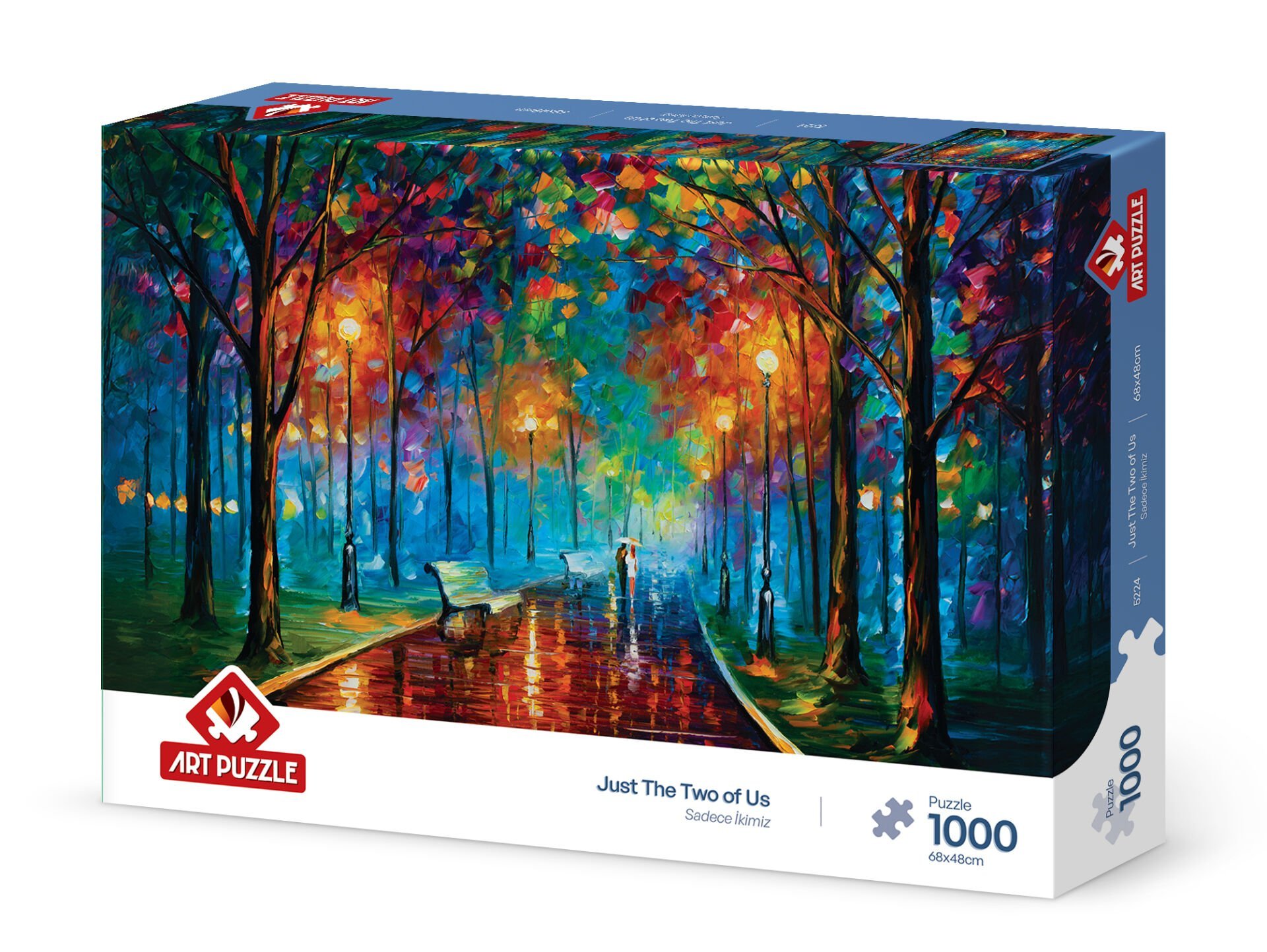 Art Puzzle Sadece İkimiz 1000 Parça Puzzle
