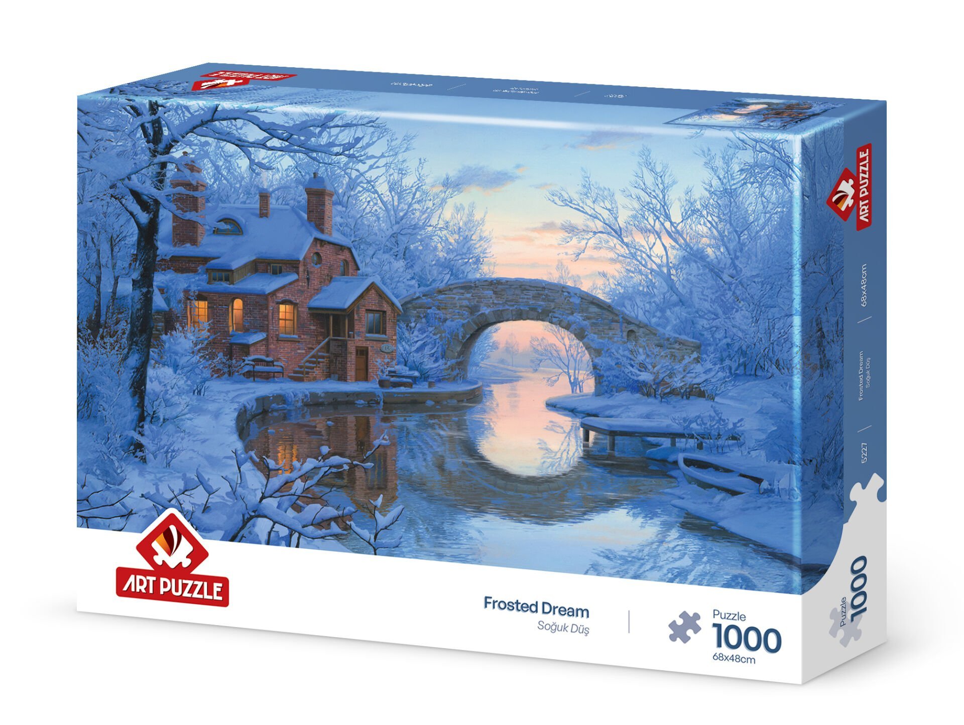 Art Puzzle Soğuk Düş 1000 Parça Puzzle