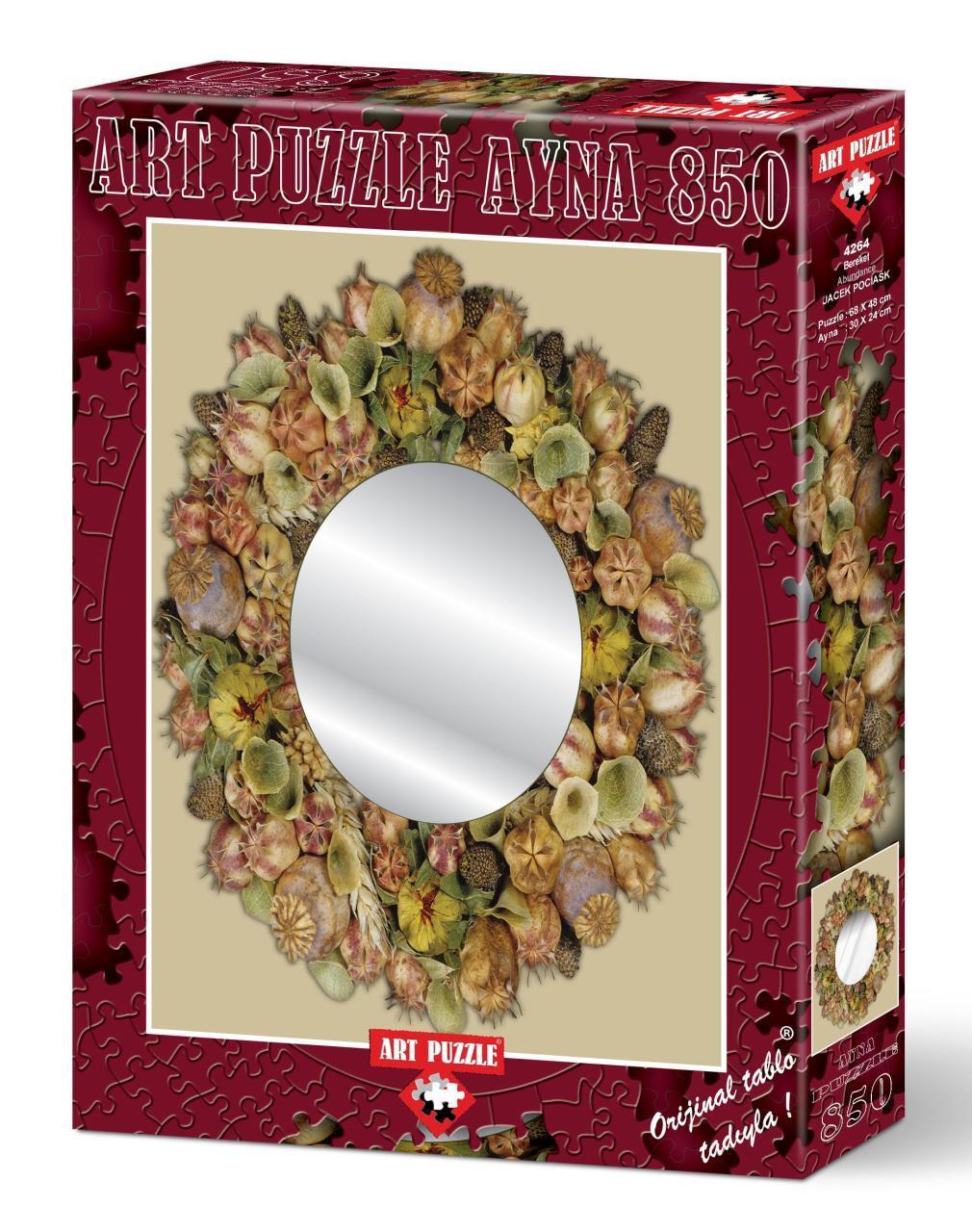 Art Puzzle Bereket Aynalı 850 Parça Puzzle